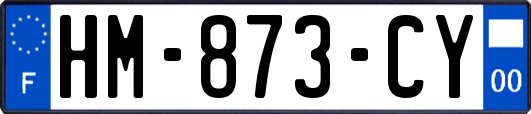 HM-873-CY