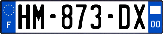 HM-873-DX