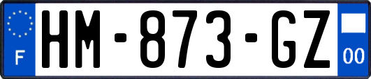 HM-873-GZ