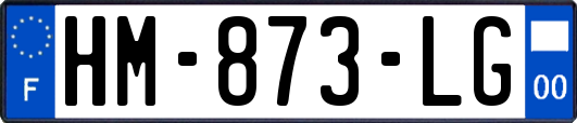 HM-873-LG