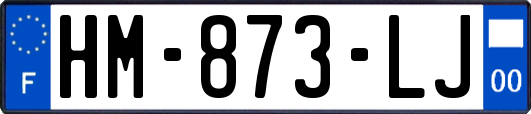 HM-873-LJ