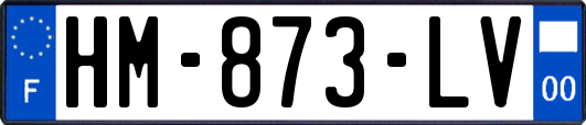 HM-873-LV