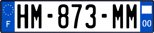 HM-873-MM