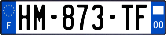 HM-873-TF