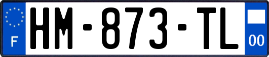 HM-873-TL