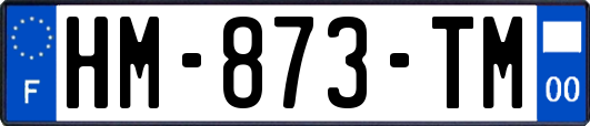 HM-873-TM