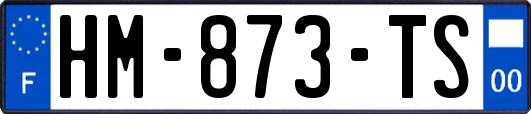 HM-873-TS
