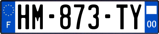 HM-873-TY