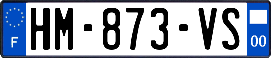 HM-873-VS