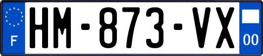 HM-873-VX