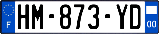HM-873-YD