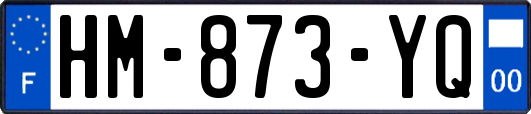 HM-873-YQ