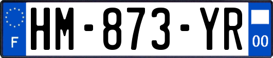 HM-873-YR