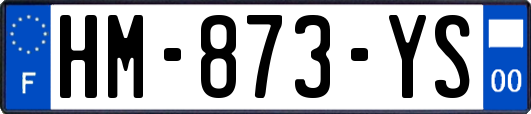 HM-873-YS