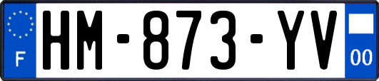 HM-873-YV