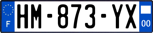 HM-873-YX