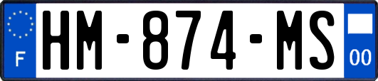 HM-874-MS