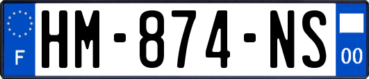 HM-874-NS