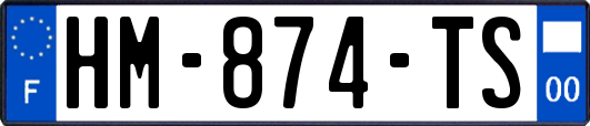 HM-874-TS