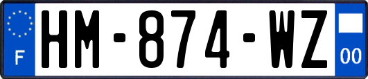 HM-874-WZ