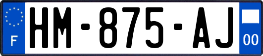 HM-875-AJ