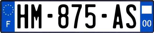 HM-875-AS