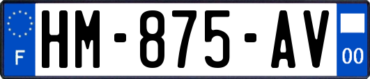 HM-875-AV