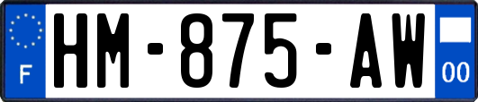 HM-875-AW