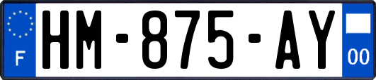 HM-875-AY
