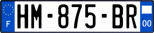 HM-875-BR