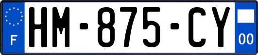 HM-875-CY