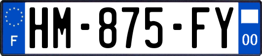 HM-875-FY