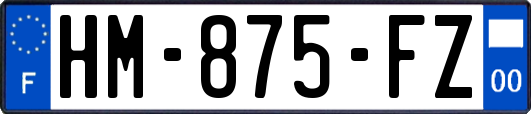 HM-875-FZ