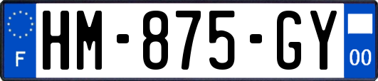 HM-875-GY