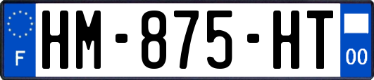 HM-875-HT