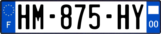 HM-875-HY