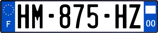 HM-875-HZ