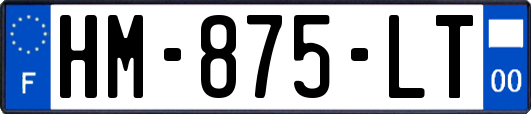 HM-875-LT