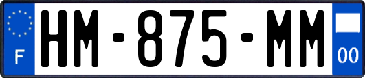HM-875-MM