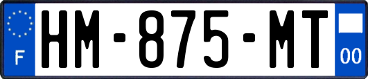 HM-875-MT