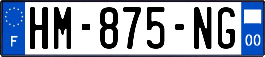 HM-875-NG