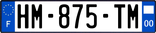HM-875-TM