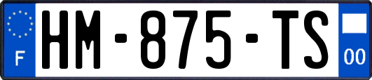 HM-875-TS