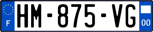 HM-875-VG