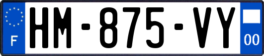 HM-875-VY