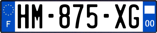 HM-875-XG