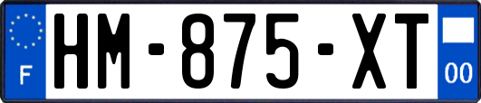 HM-875-XT