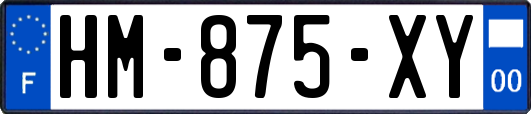 HM-875-XY