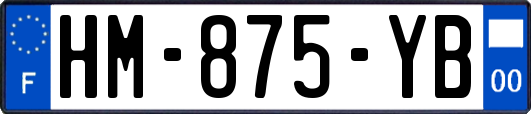HM-875-YB