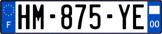 HM-875-YE